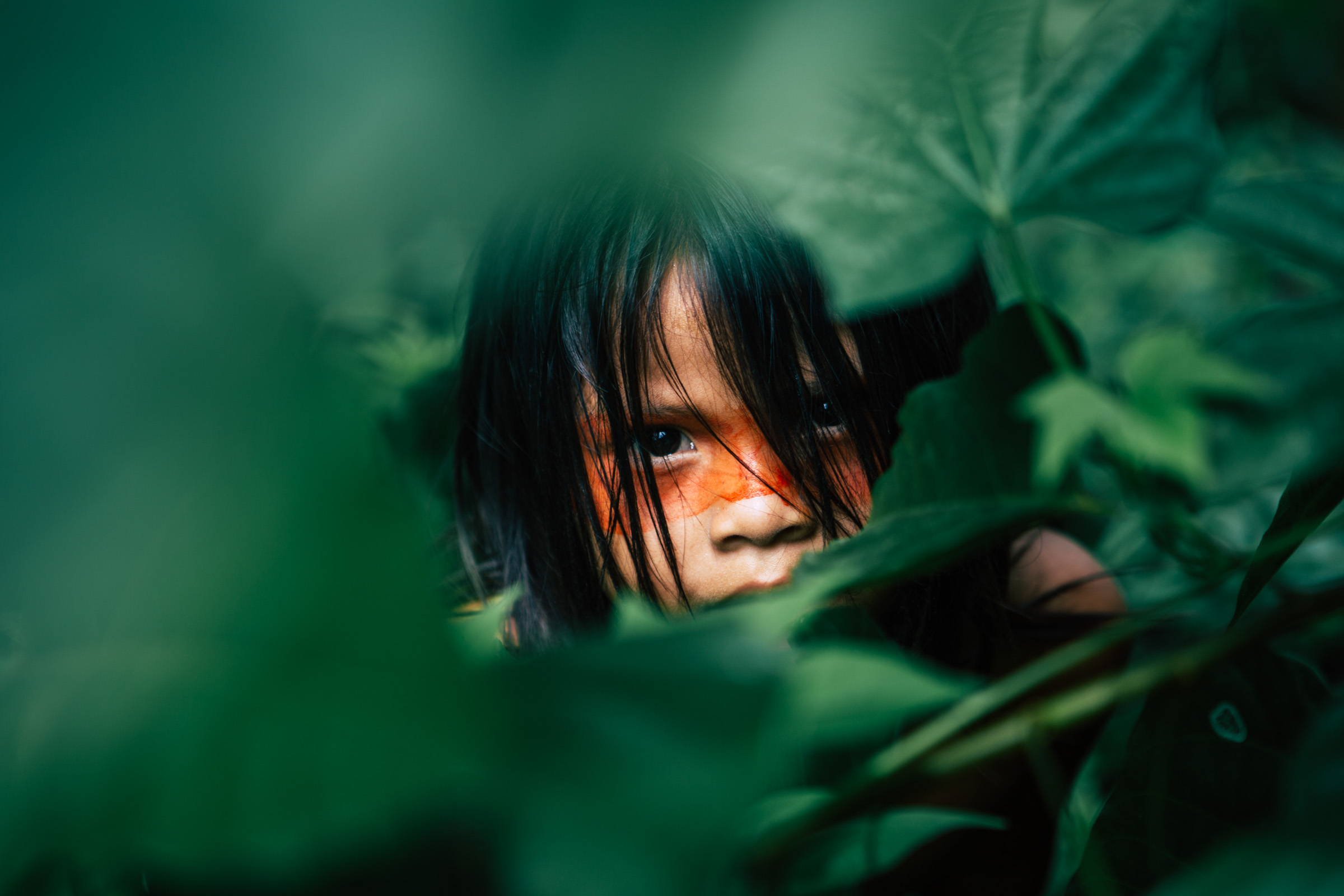Девочка забылась. Джунгли для детей. Девочка в джунглях. Девушка в джунглях. Фотосессия джунгли для детей.