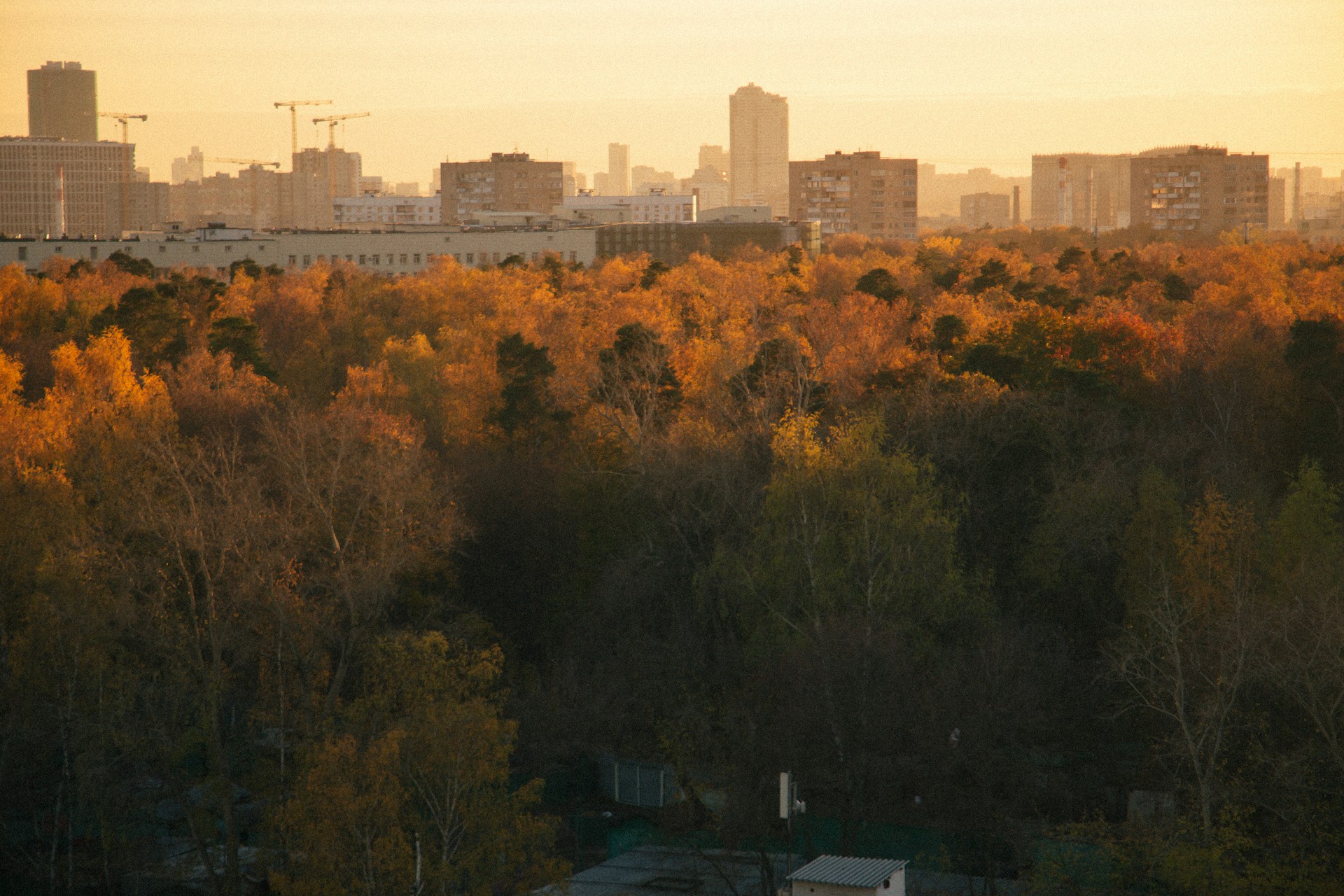 Осень в Москве: где искать атмосферу