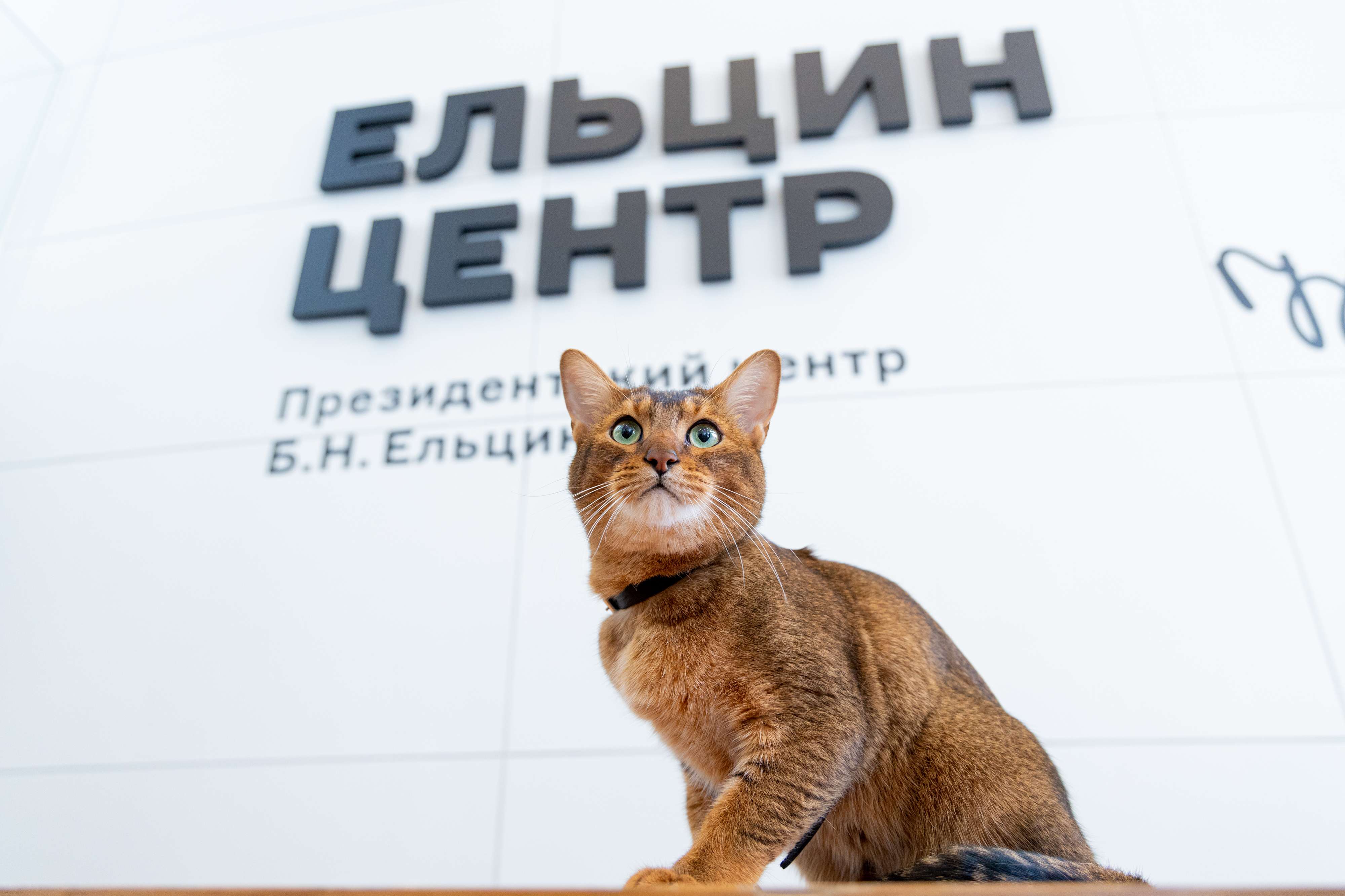 5 причин посетить Ельцин Центр — в Екатеринбурге и Москве