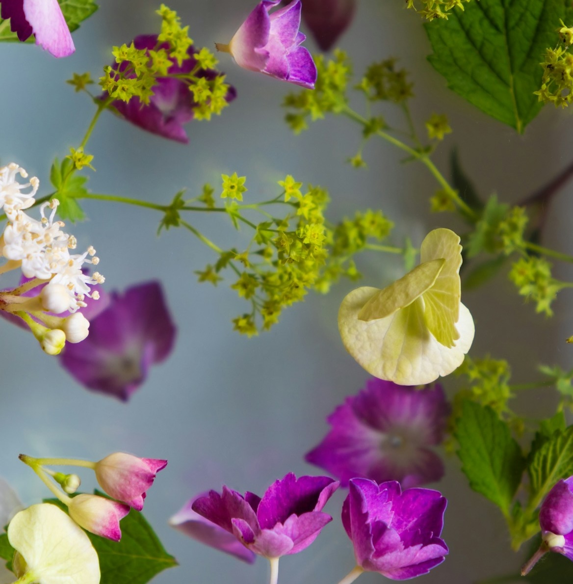 Время просыпаться: чем заняться весной в Москве и Петербурге