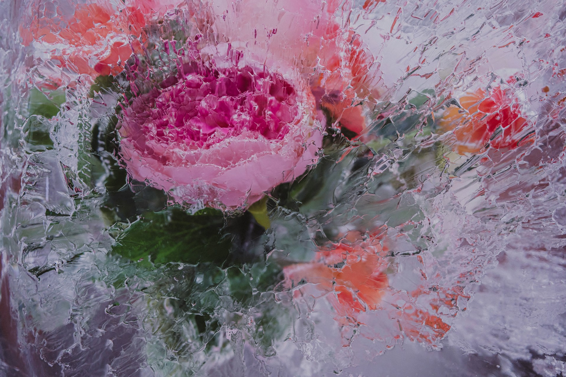 Празднуем весну: куда сходить на 8 Марта