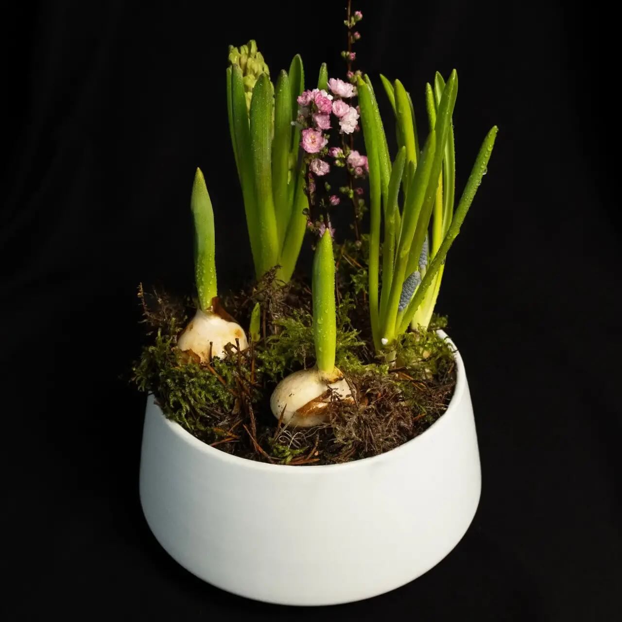 куда сходить весной