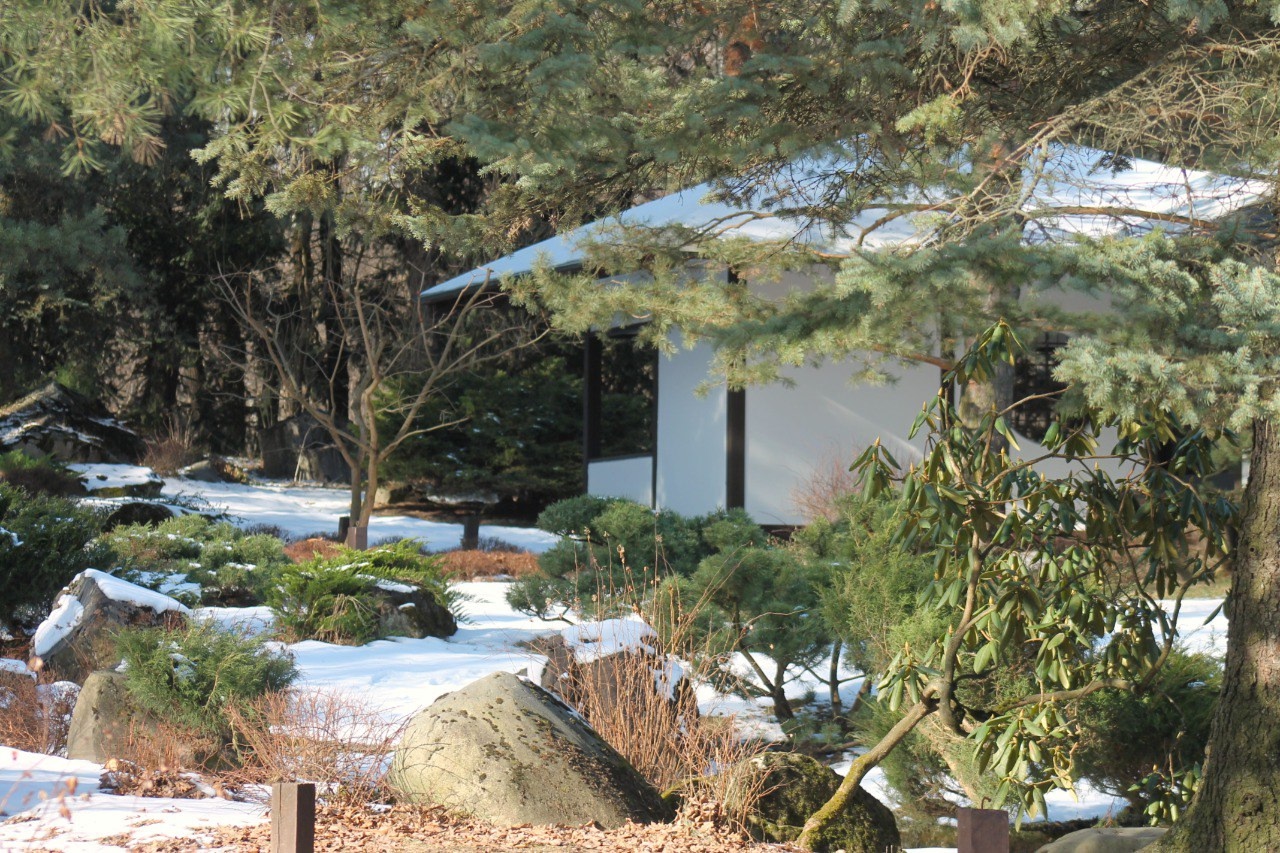 ботанический сад москва