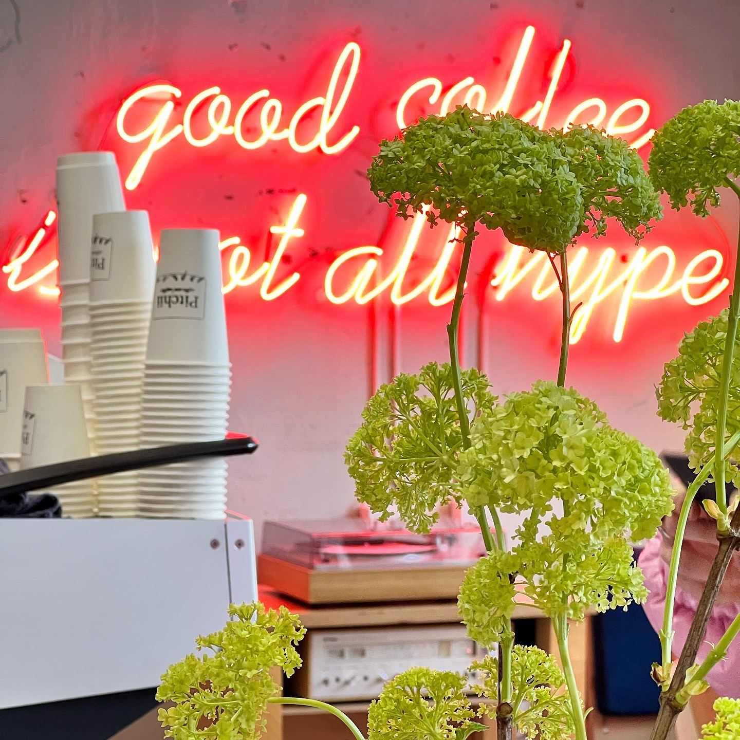 в новосибирске весной куда сходить