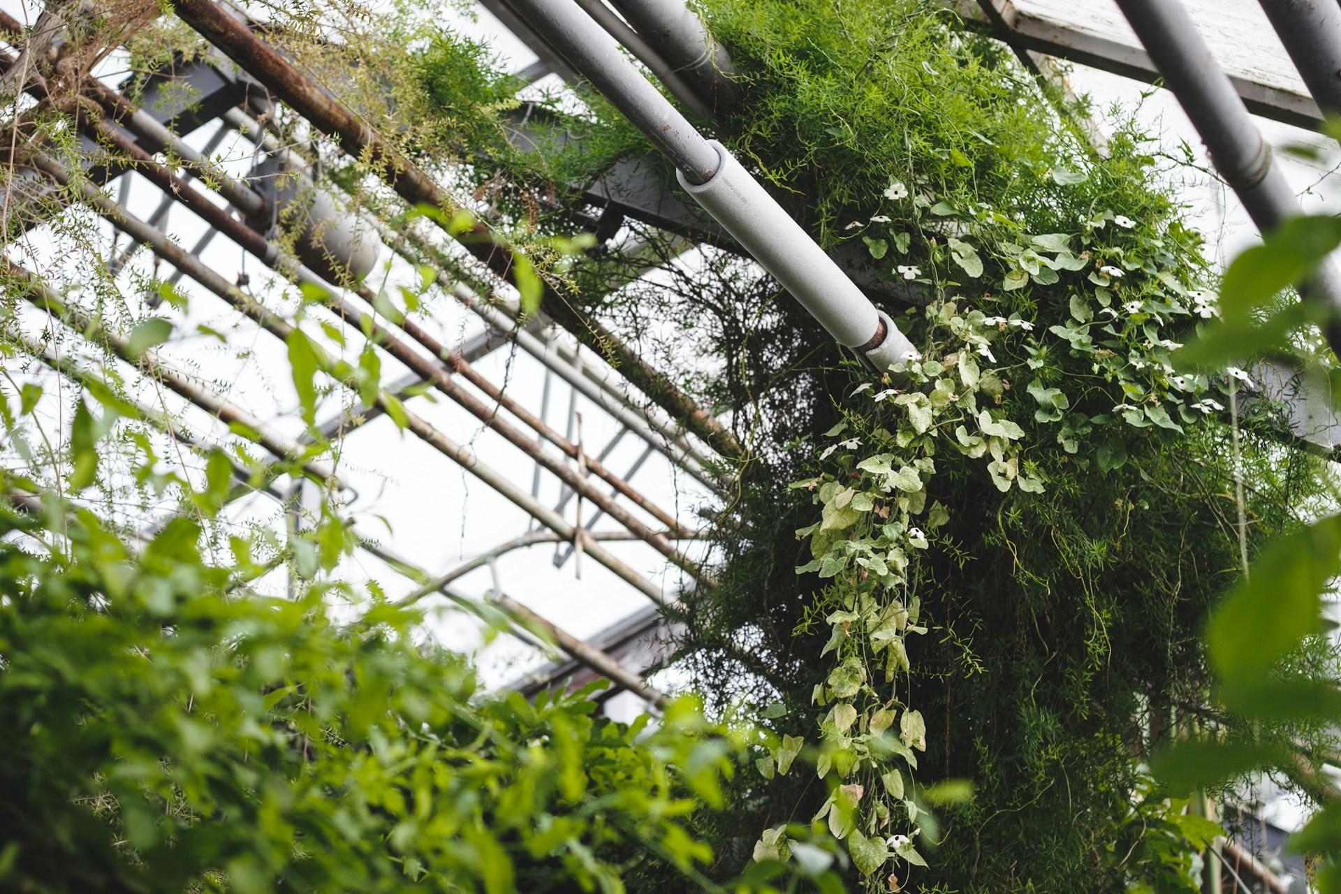 Куда сходить в Новосибирске весной