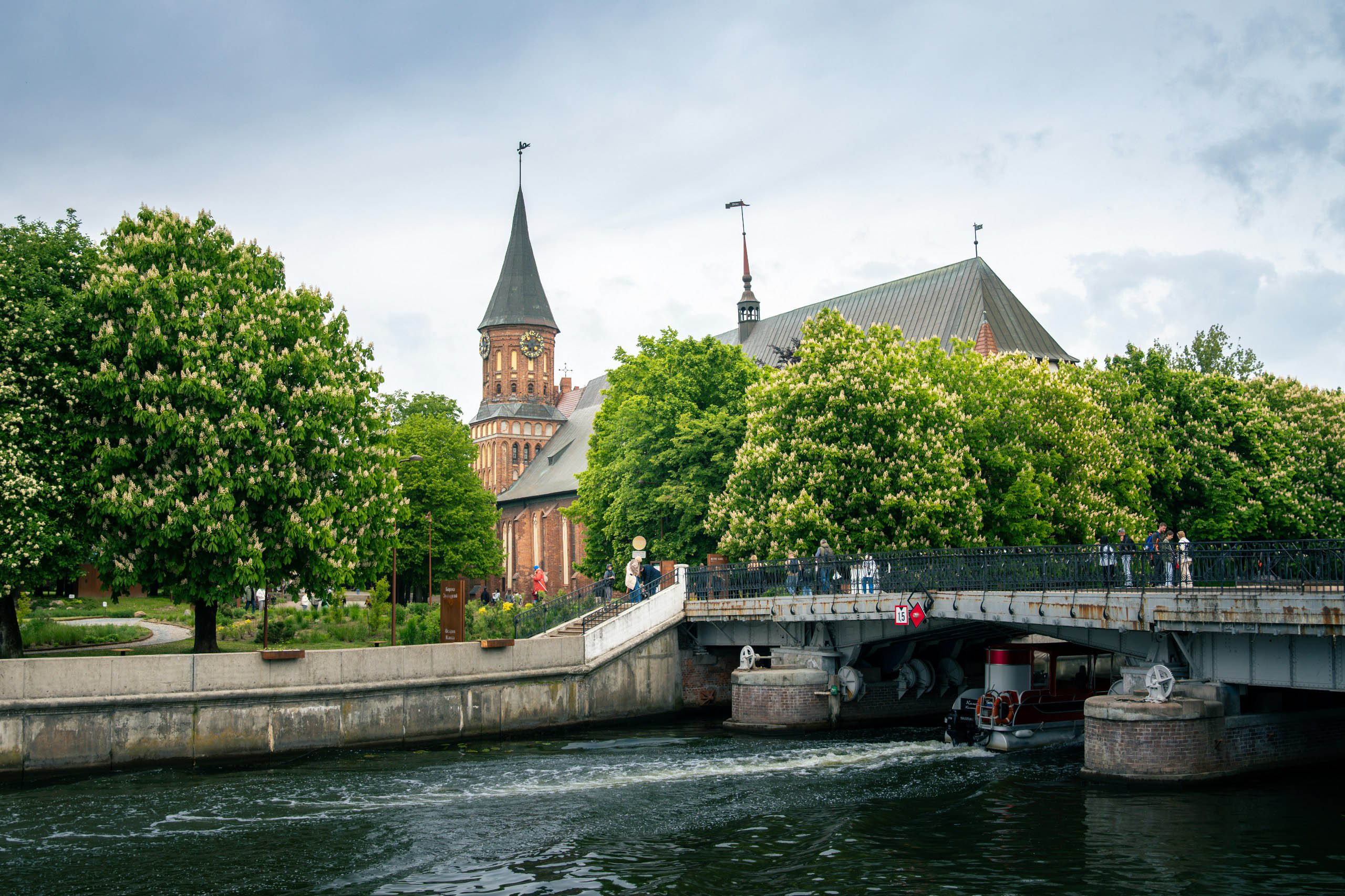 Сакура, фестивали и велопрогулки по побережью: чем заняться весной в Калининграде