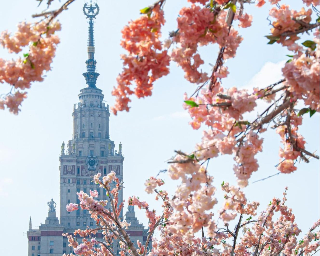 Большой гайд по весенней Москве