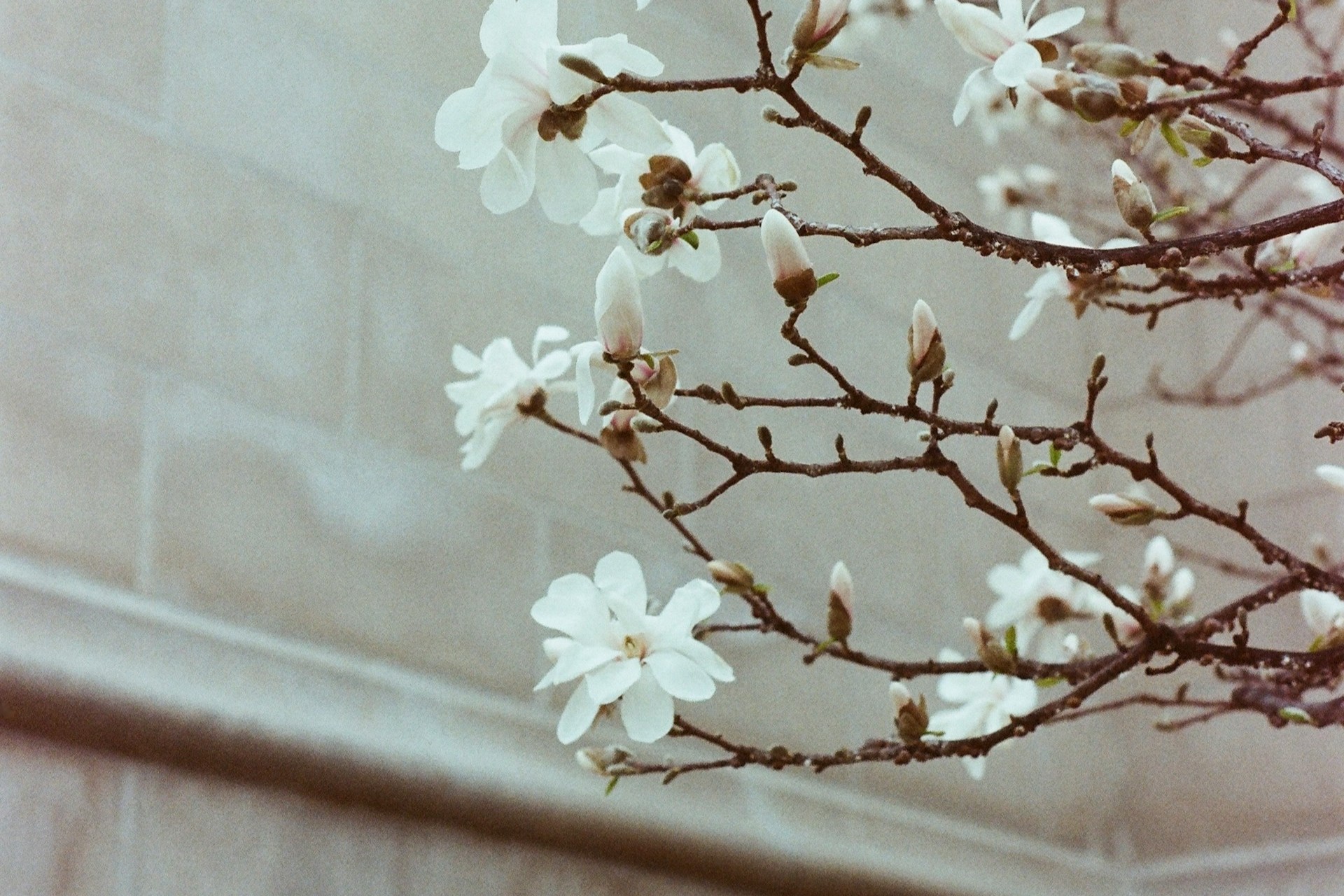 Куда сходить в Москве в марте: свежие идеи от Timepad