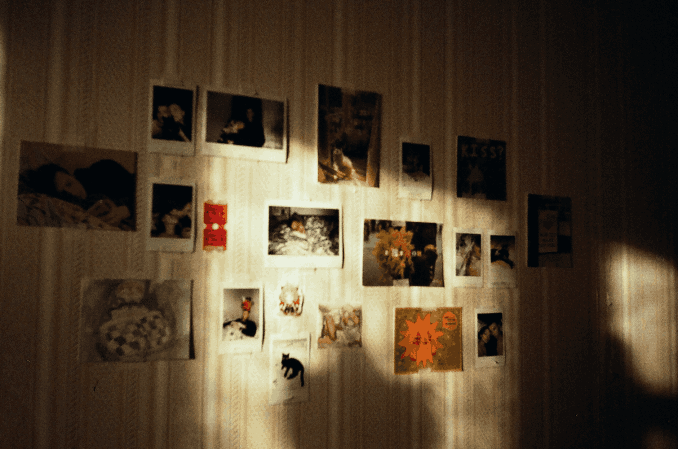 Пленка для фотоаппарата